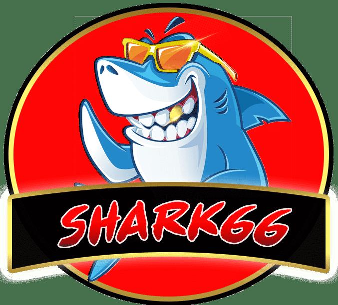 Men's Competition Barbell Set